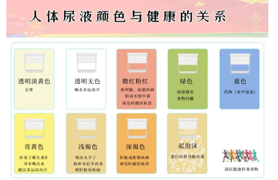 “撒泡尿照照自己”尿液中能看出哪些问题?(图1) “撒泡尿照照自己”尿液中能看出哪些问题?(图1)
